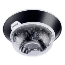 Panoramic Cameras